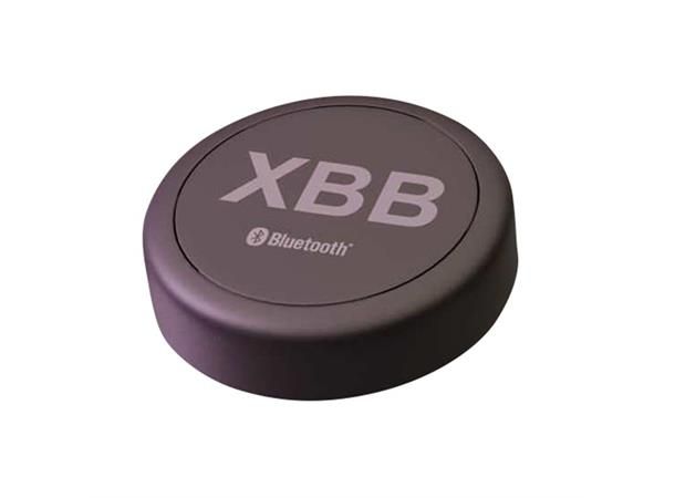 270428 XBB SMART BUTTON
